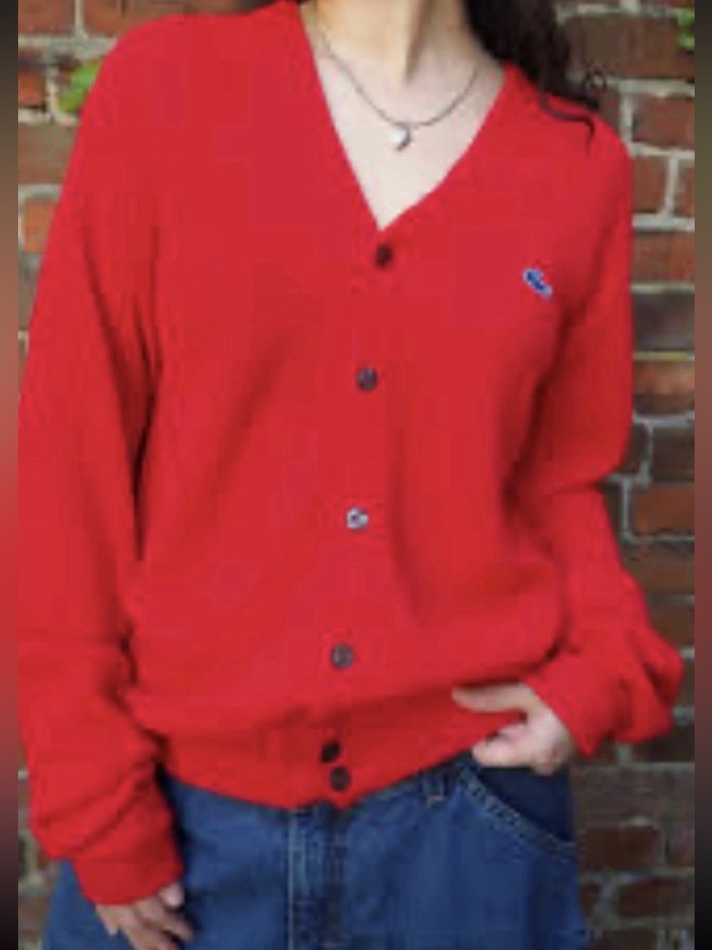 Izod Lacoste VTG 70’s Men’s SZ.L Orlon Acrylic Red Button Front V Neck Cardigan